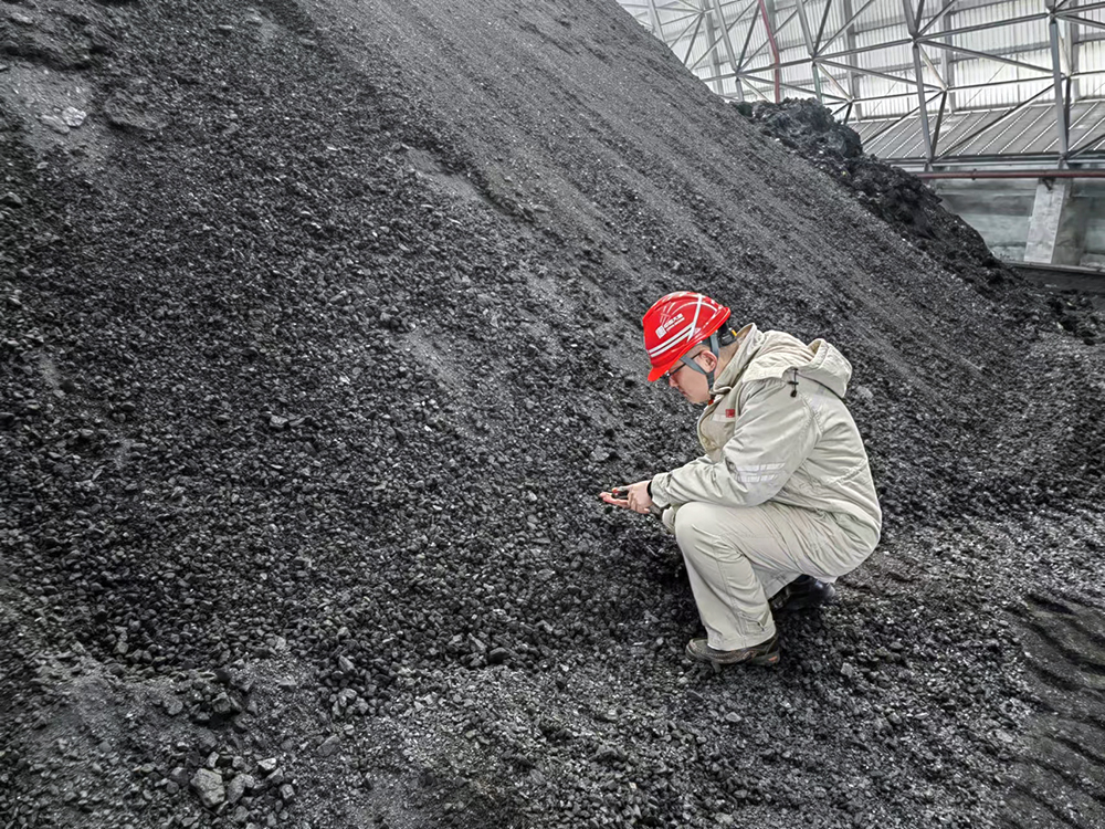 1708326141065028921.jpg 3-大唐東營發電公司職工查看煤炭煤質情況a.jpg