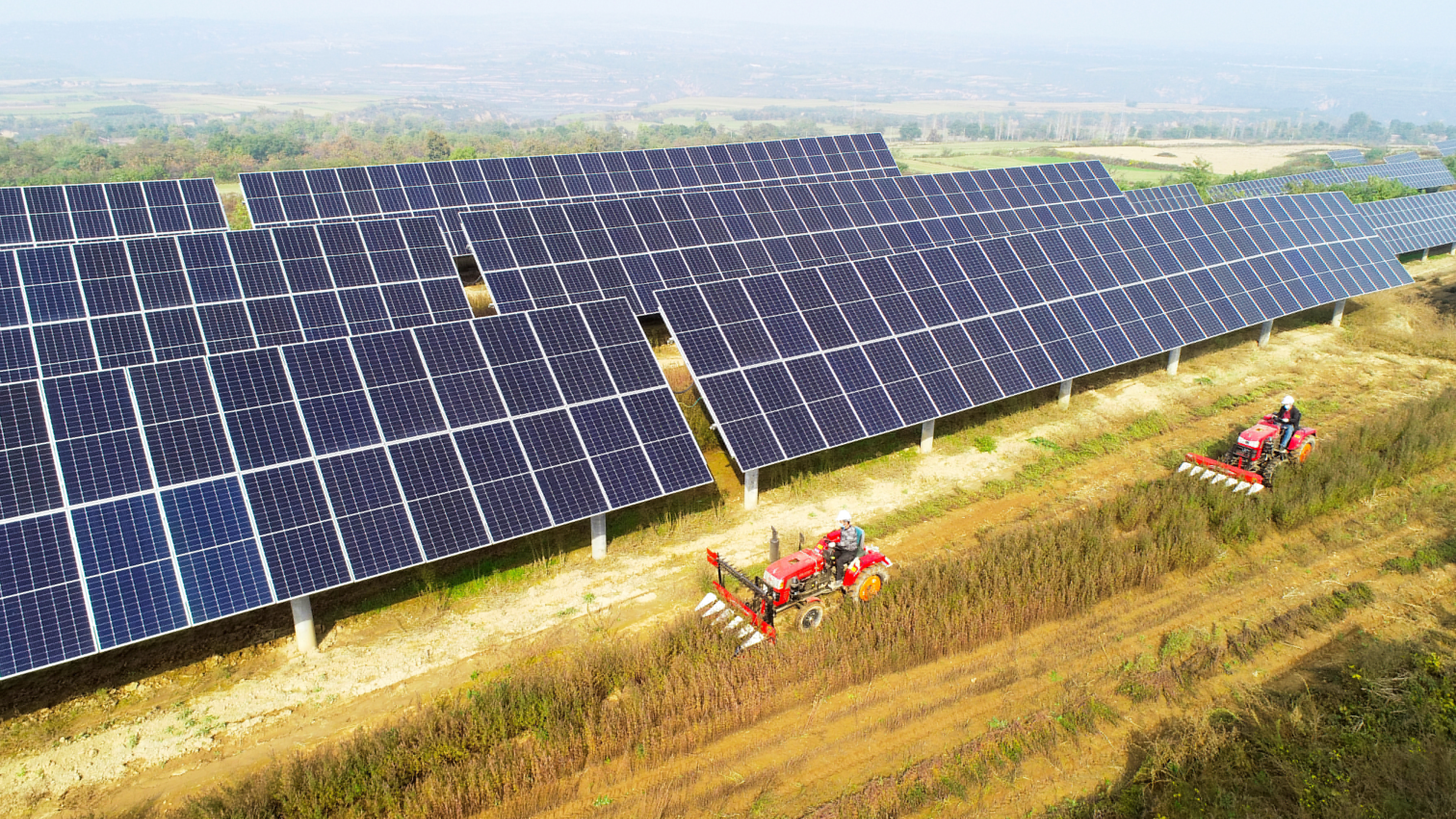 1720579342585030921.jpg 圖3.大唐西安熱電廠永壽高廟山光伏電站進行中草藥收割工作,實現惠農共贏.jpg