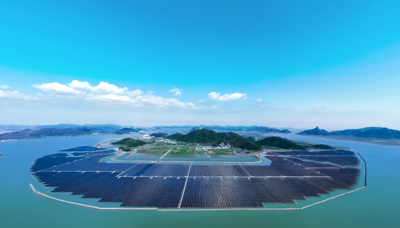 1729663090803062769.jpg 8.jpg