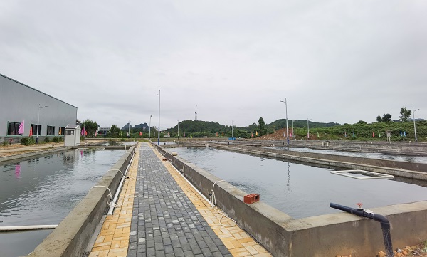 1626310213334057629.jpg 養魚1.jpg